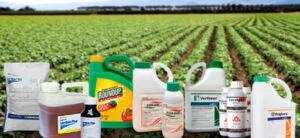 Punto de Venta para Agroquímicos